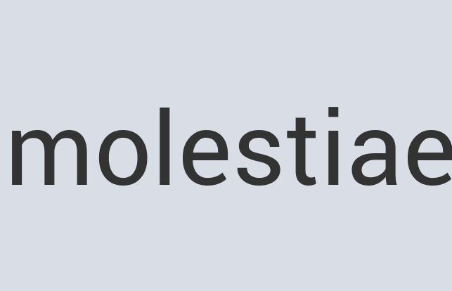 Aerodynamic Rubber Turtle Magic