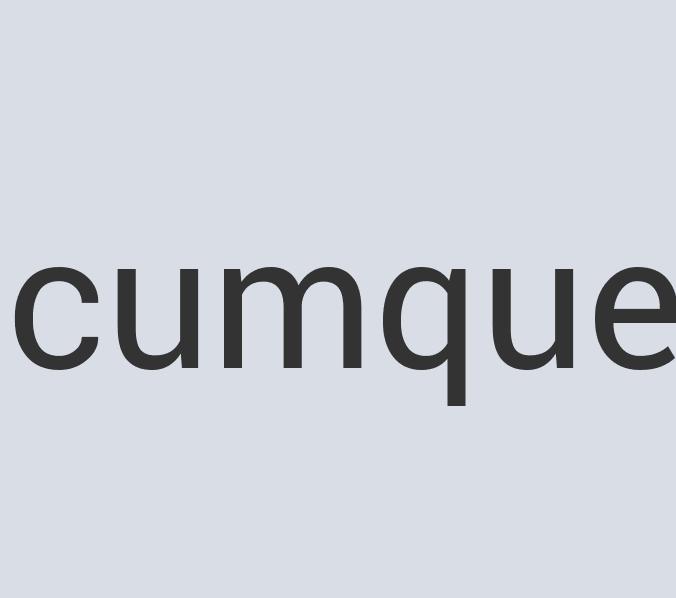 Heavy Duty Silk Sleevy Wonder