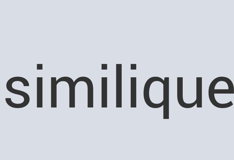 Enormous Copper Keen Clip