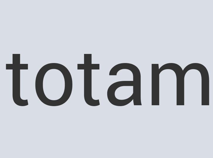 Aerodynamic Silk Godzilla Pizza