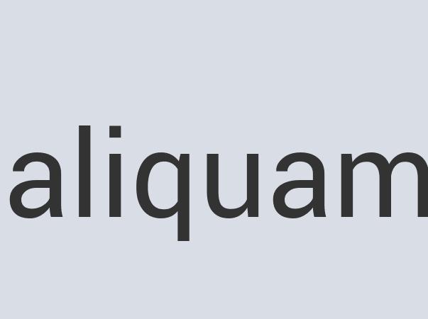 Aerodynamic Leather Before Breakfast