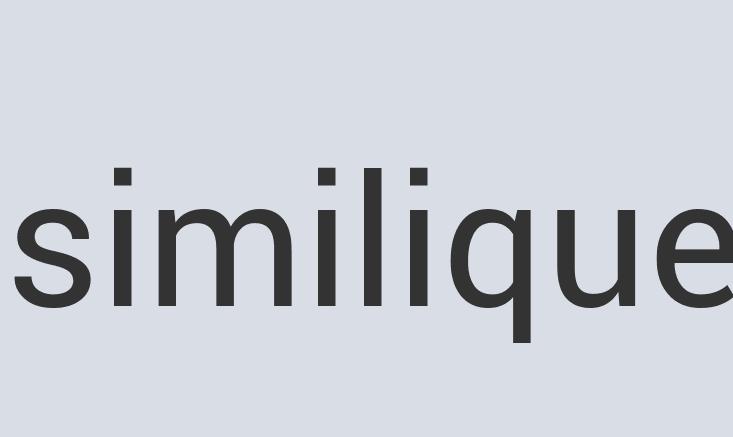 Awesome Leather Classy Collars